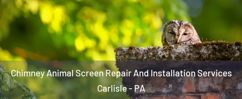  Chimney Animal Screen Repair And Installation Services Carlisle - PA