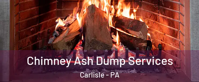  Chimney Ash Dump Services Carlisle - PA