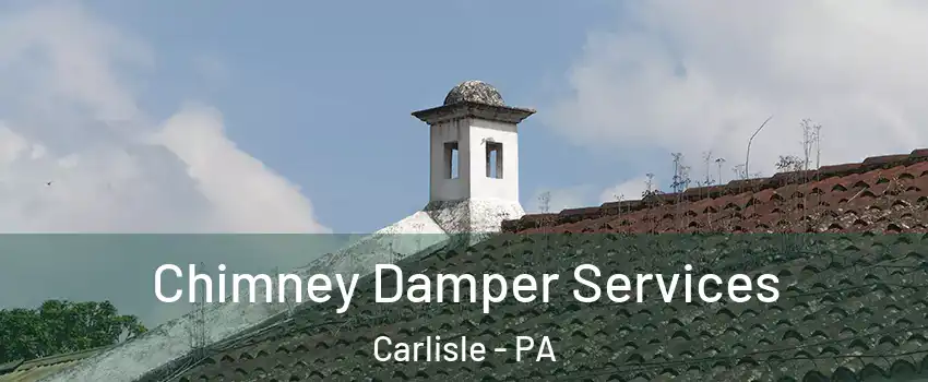  Chimney Damper Services Carlisle - PA