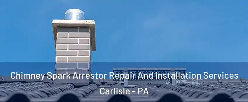 Chimney Spark Arrestor Repair And Installation Services Carlisle - PA