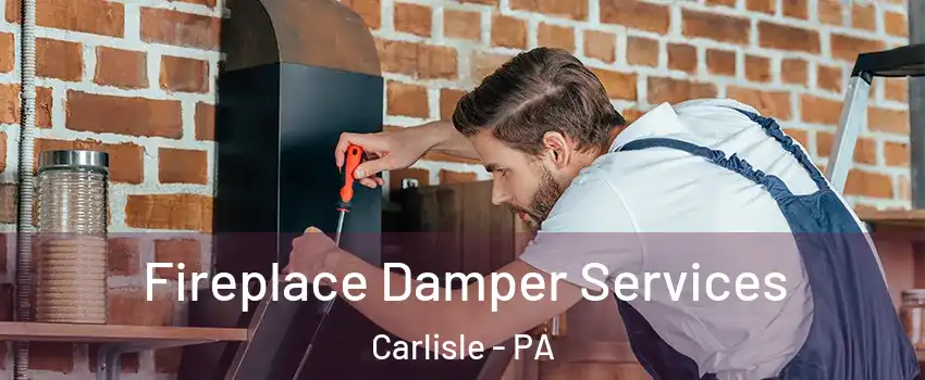  Fireplace Damper Services Carlisle - PA