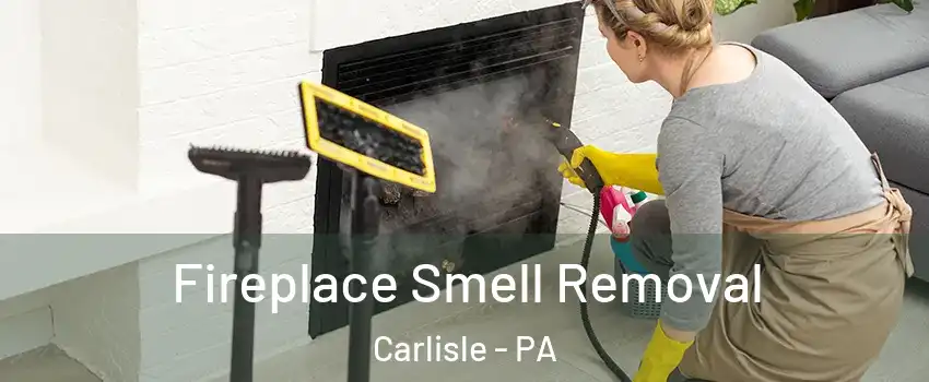  Fireplace Smell Removal Carlisle - PA