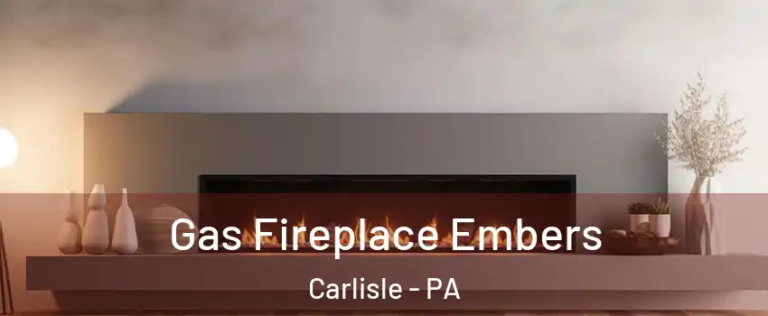  Gas Fireplace Embers Carlisle - PA