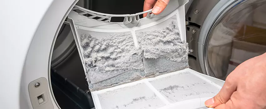 Best Dryer Lint Removal Company in Carlisle, Pennsylvania