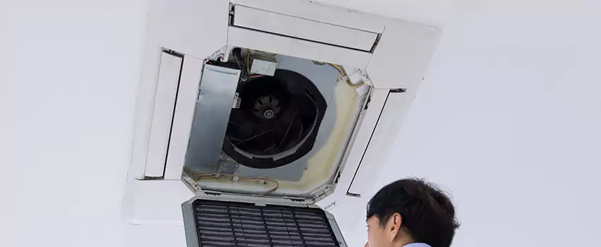 Benefits of Professional Air Duct Cleaning in Carlisle, Pennsylvania