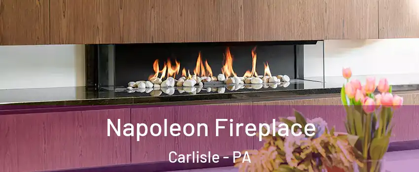  Napoleon Fireplace Carlisle - PA